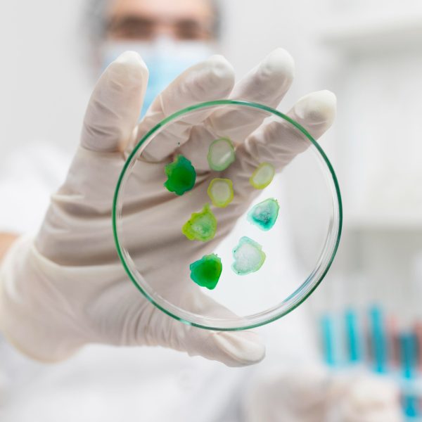 Metabarcoding-ed-Analisi-Microbiologiche